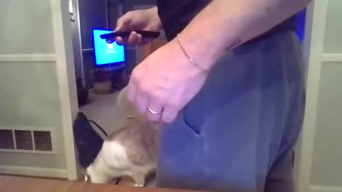 cbisc online show from March 28, 12:11 am