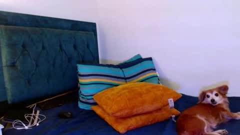 Snapshot of cedrixx10 chatting on September 28, 1:03 am Cedrixx10 online show from September 28, 1:03 am