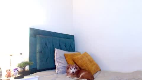 Cedrixx10 online show from March 14, 11:23 pm