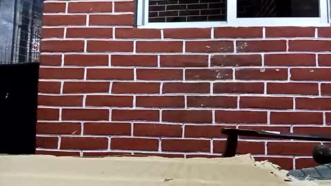 chachote9139 online show from November 21, 7:18 am