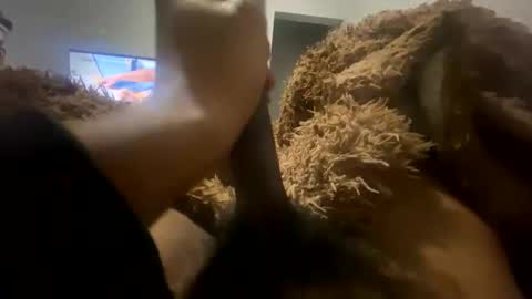 chicagodih online show from January 12, 11:42 pm