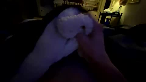 Chris online show from November 25, 9:11 am