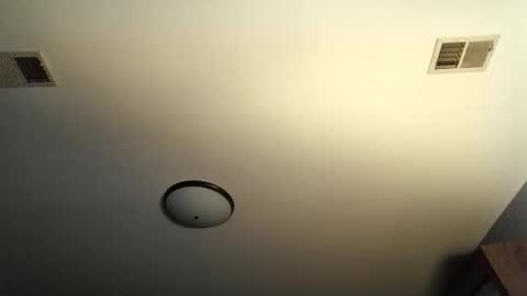 Chris online show from May 14, 7:33 pm