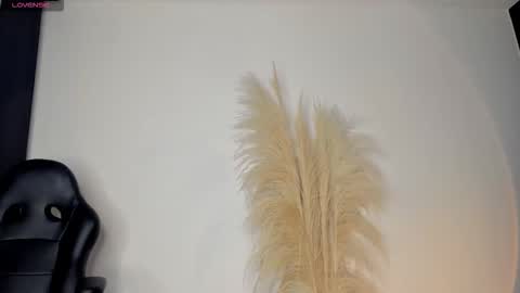 Snapshot of chrizmacgregor chatting on September 30, 12:06 am chrizmacgregor online show from September 30, 12:06 am