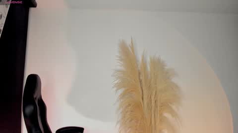 Snapshot of chrizmacgregor chatting on October 7, 1:10 am chrizmacgregor online show from October 7, 1:10 am