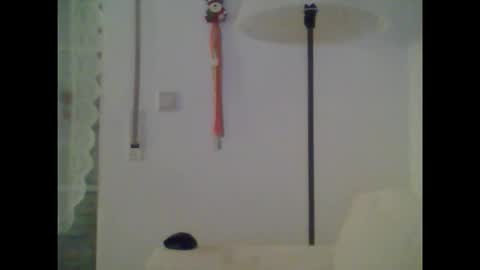 chubby_david online show from December 20, 12:51 am