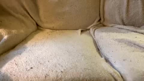 Snapshot of circlejerkslutt chatting on December 17, 4:53 pm join the circle online show from December 17, 4:53 pm