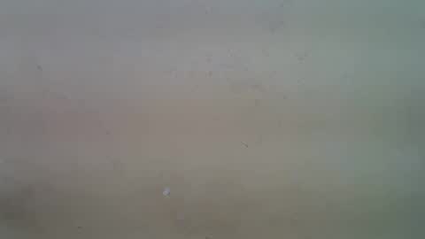 clive_damian online show from March 25, 11:36 am