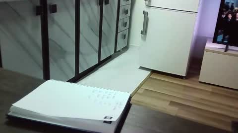 collegegymbro online show from December 13, 9:41 pm