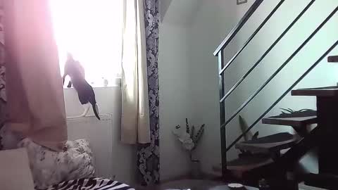 collegegymbro online show from September 12, 10:37 am