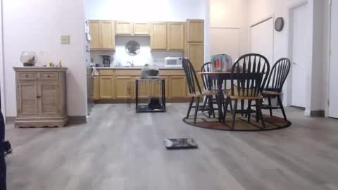 copper_crotch online show from January 11, 1:43 am