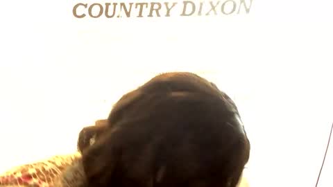 Snapshot of country_dixon chatting on January 25, 4:24 pm country dixon online show from January 25, 4:24 pm