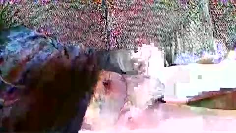 courious44 online show from February 26, 2:07 pm