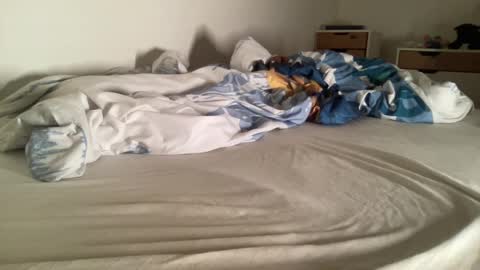 cowboy_20000 online show from January 7, 12:55 am