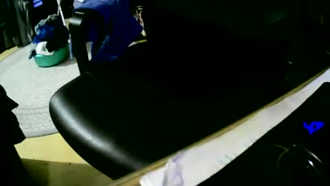 Snapshot of coyote017 chatting on December 17, 6:09 pm coyote017 online show from December 17, 6:09 pm