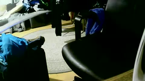 Snapshot of coyote017 chatting on January 27, 4:11 pm coyote017 online show from January 27, 4:11 pm