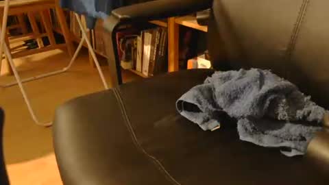 coyote017 online show from April 22, 3:06 pm