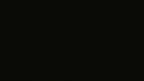 craigslistj online show from April 20, 1:13 pm