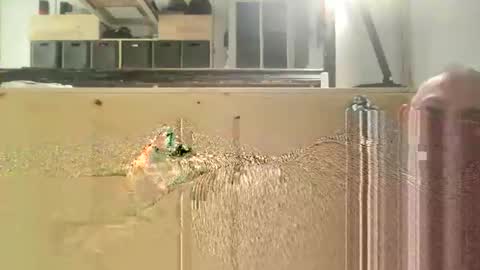 crapaud75018paris online show from April 29, 7:57 am