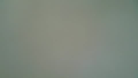 ctbddc online show from March 3, 10:23 am