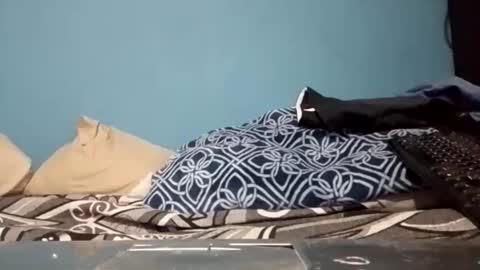 cumbian_chero online show from April 28, 2:22 pm