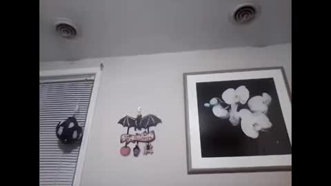 Bash online show from November 1, 3:32 am