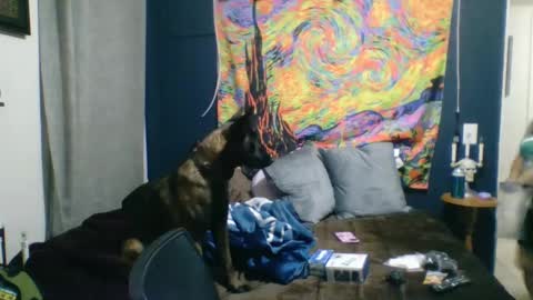 CuriousCouple303 online show from December 9, 3:18 am