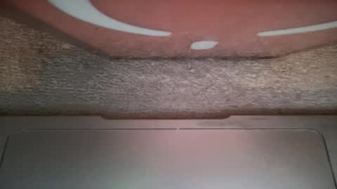 ALAN online show from November 20, 12:21 am