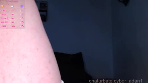 Snapshot of cyber_adan1 chatting on January 10, 1:09 pm cyber online show from January 10, 1:09 pm