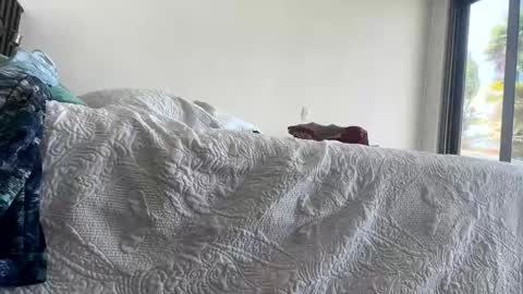 Jewbb online show from April 12, 7:26 pm