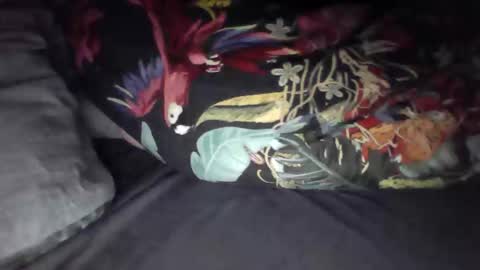 daddyscumeater online show from February 17, 3:16 am