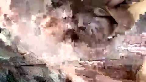 daileyrobert15 online show from March 17, 7:22 am