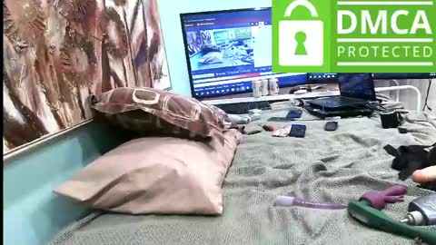 dame_por_atras online show from June 8, 6:47 am