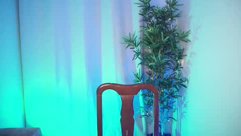 damon_frost online show from November 24, 10:44 pm