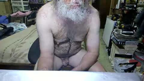 Dana online show from April 19, 2:49 pm