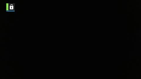 Dan online show from February 11, 2:46 am
