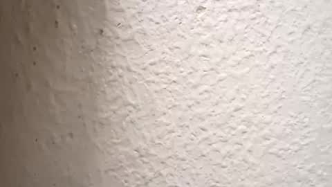 Antidotehot24 online show from October 3, 4:56 pm