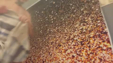 dankfuckcouple online show from January 12, 7:51 pm