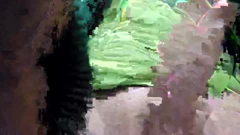 dannydanny1972 online show from February 25, 11:08 am