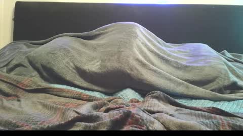 dannytabb1 online show from November 12, 2:28 am