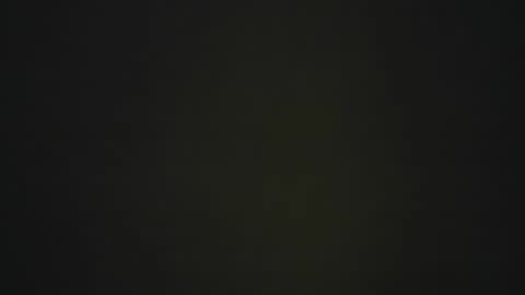 dantee_1_ online show from December 14, 10:22 am