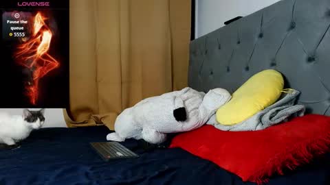 Dante Vicius online show from January 17, 10:51 am