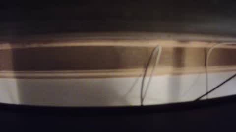 daron69803227 online show from January 17, 8:06 am