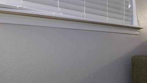 darreck30 online show from December 4, 8:32 am