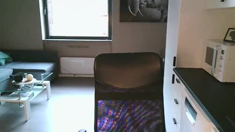 Dario online show from November 2, 11:58 am