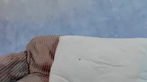 David online show from February 21, 5:14 pm