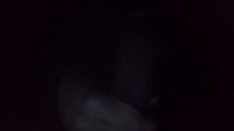 David online show from January 15, 9:13 am