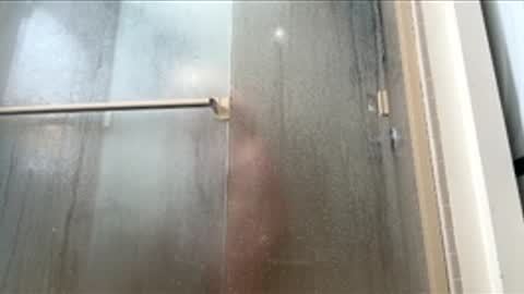 dayblue online show from February 7, 8:03 pm