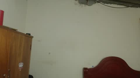 Dylon online show from February 13, 11:15 am