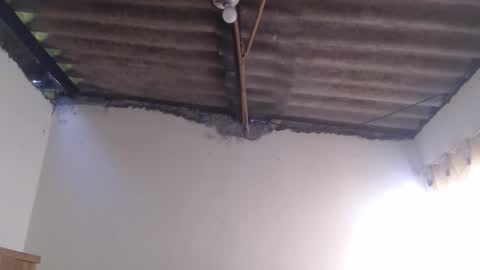 Dylon online show from October 25, 12:18 pm